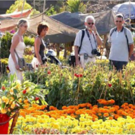 Lâm Đồng - Khánh Hòa hợp tác thu hút du khách Nga