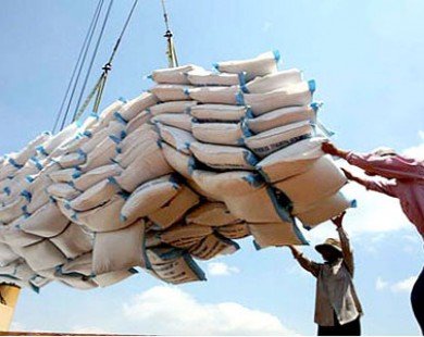 Tranh mua gạo xuất tiểu ngạch sang Trung Quốc