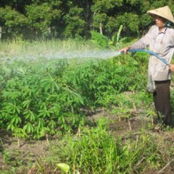 Bộ Công thương: Việt Nam xuất thô, phụ thuộc Trung Quốc