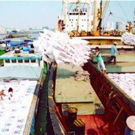 Xuất khẩu nhiều nhưng… tiền chẳng bao nhiêu!