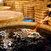 Nghề sản xuất nước mắm truyền thống Phú Quốc khởi sắc trở lại