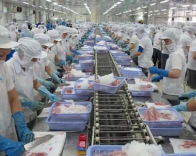 Việt Nam là quốc gia có nguồn cung thủy, hải sản hàng đầu thế giới