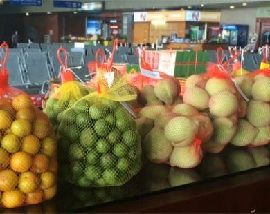 Tổng rà soát hoa quả Trung Quốc bán tại sân bay Nội Bài