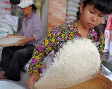 Philippines mở thầu 500.000 tấn gạo nhập khẩu cuối tháng Tám