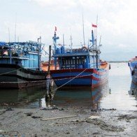 Tàu thuyền nằm bờ chờ giá cá
