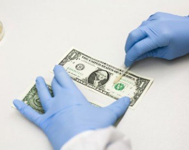 Ổ vi khuẩn tiềm ẩn trong tiền giấy
