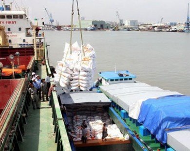 Việt Nam xuất khẩu hơn 3,6 triệu tấn gạo trong 7 tháng đầu năm