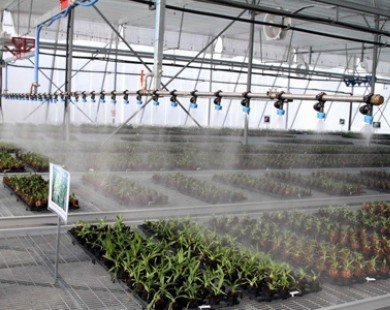 VietinBank phục vụ Dự án “Cải thiện nông nghiệp có tưới”
