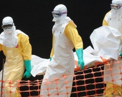 Tất cả những việc phải làm để phòng nhiễm virut Ebola