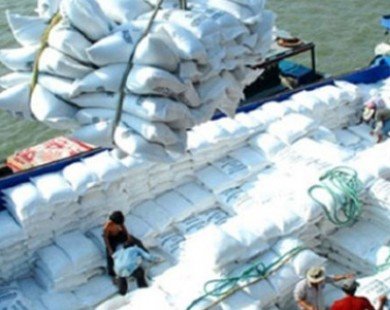 Trung Quốc cấm, Mỹ dọa kiện: Gạo Việt ngấm đòn mua rẻ, bán rẻ