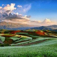 Vẻ đẹp lộng lẫy của miền đất đỏ Đông Xuyên