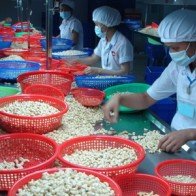 Hạt điều và chè Việt Nam thu hút khách hàng quốc tế tại Hong Kong