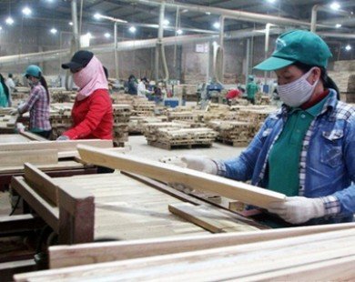 Sản xuất, chế biến gỗ xuất khẩu ở Quảng Ngãi khởi sắc trở lại