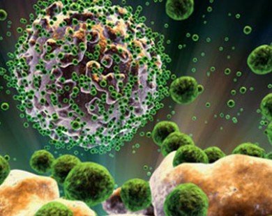 10 loại virus chết người nguy hiểm nhất thế giới