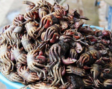 ’Hàng độc’ trong chợ nông sản Cà Mau