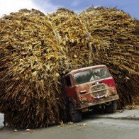 Top 20 doanh nghiệp vốn khủng: Lợi thế nhờ quy mô?