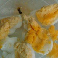 Sinh vật lạ trong quả trứng vịt