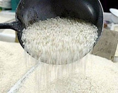 Hàn Quốc có thể đánh thuế trên 500% đối với gạo nhập khẩu