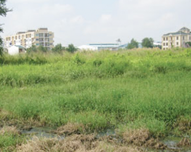 Quy hoạch khu công nghiệp ở Bình Phước đang gây lãng phí đất