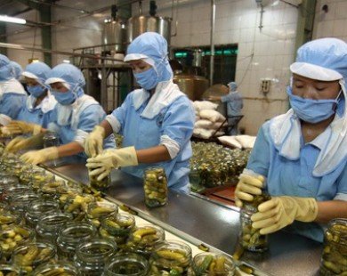 Việt Nam trước cơ hội lớn xuất khẩu nông sản, thực phẩm sang Nga