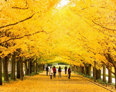 9 điểm ngắm cảnh mùa thu tuyệt đẹp trên thế giới