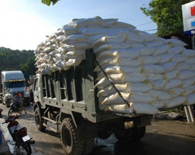 Kiến nghị tăng doanh nghiệp đầu mối xuất khẩu gạo