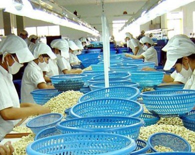 Nga cấm vận phương Tây, xuất khẩu nông sản Việt Nam hưởng lợi