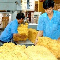 Tìm giải pháp tiêu thụ cao su