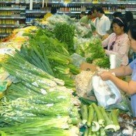 Vẫn loay hoay tìm rau sạch