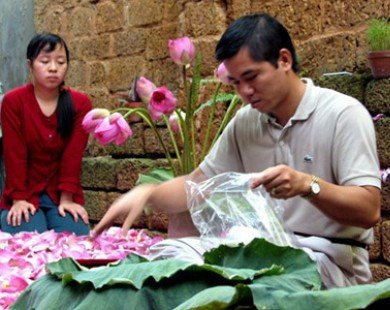 5 triệu/kg trà sen cổ Hà Thành: Có tiền không dễ mua