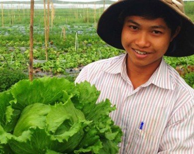 Người Nhật Bản sang Lâm Đồng trồng xà lách khủng