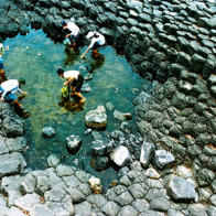 Cuộc thi ảnh quốc tế Gia Định 2014