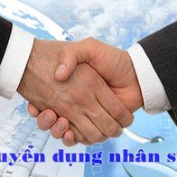 Tuyển dụng Giám đốc kinh doanh và Tiếp thị, Sales