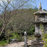 Di tích nhà Trần trở thành di tích quốc gia đặc biệt