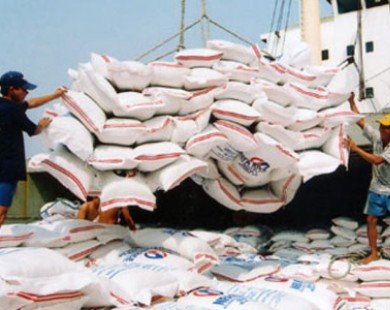 Xuất khẩu gạo giảm do giá thấp