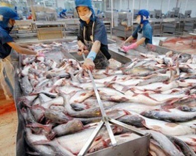 Xuất khẩu cá tra phấn đấu đạt 2,3 tỷ USD