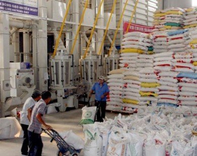 Philippines có thể mua 200.000 tấn gạo của Việt Nam