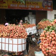 Xuất khẩu trái cây sang Mỹ: Cửa đã mở, nhưng chưa thể mừng