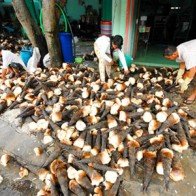 Nhộn nhịp mùa măng tre