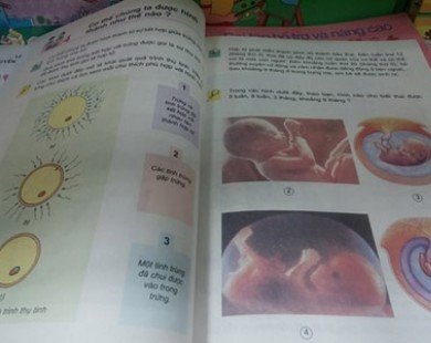 Chủ biên sách lớp 5 giải thích chuyện dạy phụ nữ có thai