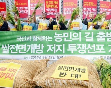 Hàn Quốc quyết định đánh thuế hơn 500% đối với gạo nhập khẩu