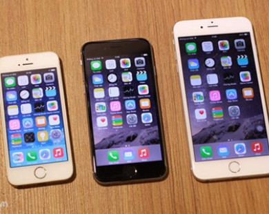 Iphone 5S đọ dáng với iPhone 6 và 6 Plus tại Việt Nam