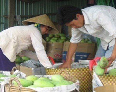 Trái cây Thái Lan “tung hoành” chợ Việt: Cây nội địa có thể “chết”
