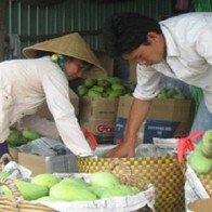 Trái cây Thái Lan “tung hoành” chợ Việt: Cây nội địa có thể “chết”