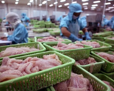 Việt Nam đứng đầu về xuất khẩu sản phẩm cá sang Colombia