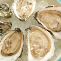 Ăn hàu có hại gì?