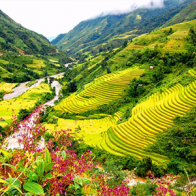 Khai mạc triển lãm tranh "Lễ hội Mỹ thuật Sa Pa"