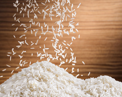 USDA dự báo sản lượng gạo thế giới tăng 1%