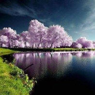 Những nơi nhìn là bạn muốn đặt chân đến