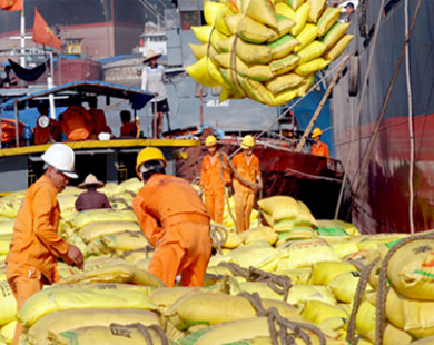 Indonesia nhập 200.000 tấn gạo từ Việt Nam